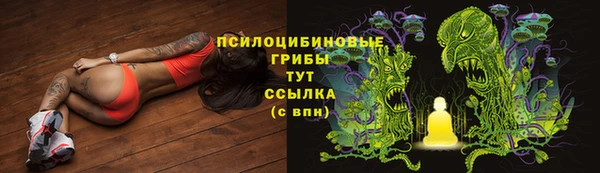 трава Абаза
