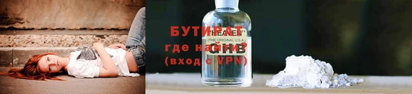 хмурый Пересвет