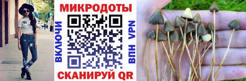 нарко площадка формула  Задонск  Галлюциногенные грибы Psilocybe 